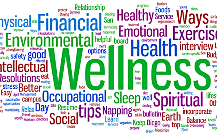 Wellness là gì